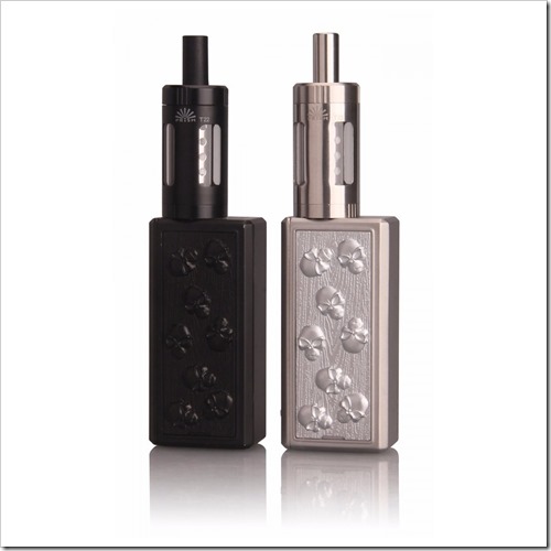 ut8pty9xvfaxxagofbxz255B7255D 2 - 【海外】小型内蔵バッテリー「Innokin ITaste SD 20 Prisim T22キット」【スターター】