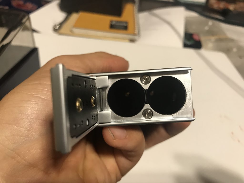 IMG 6242 1024x768 - 【レジンMOD】Stentorian Basilisk 200W Box Modレビュー！イカしたMODがイカしたケースに入ってやってきた！コレは所有欲が満たされる一本だ！【トカゲ？】