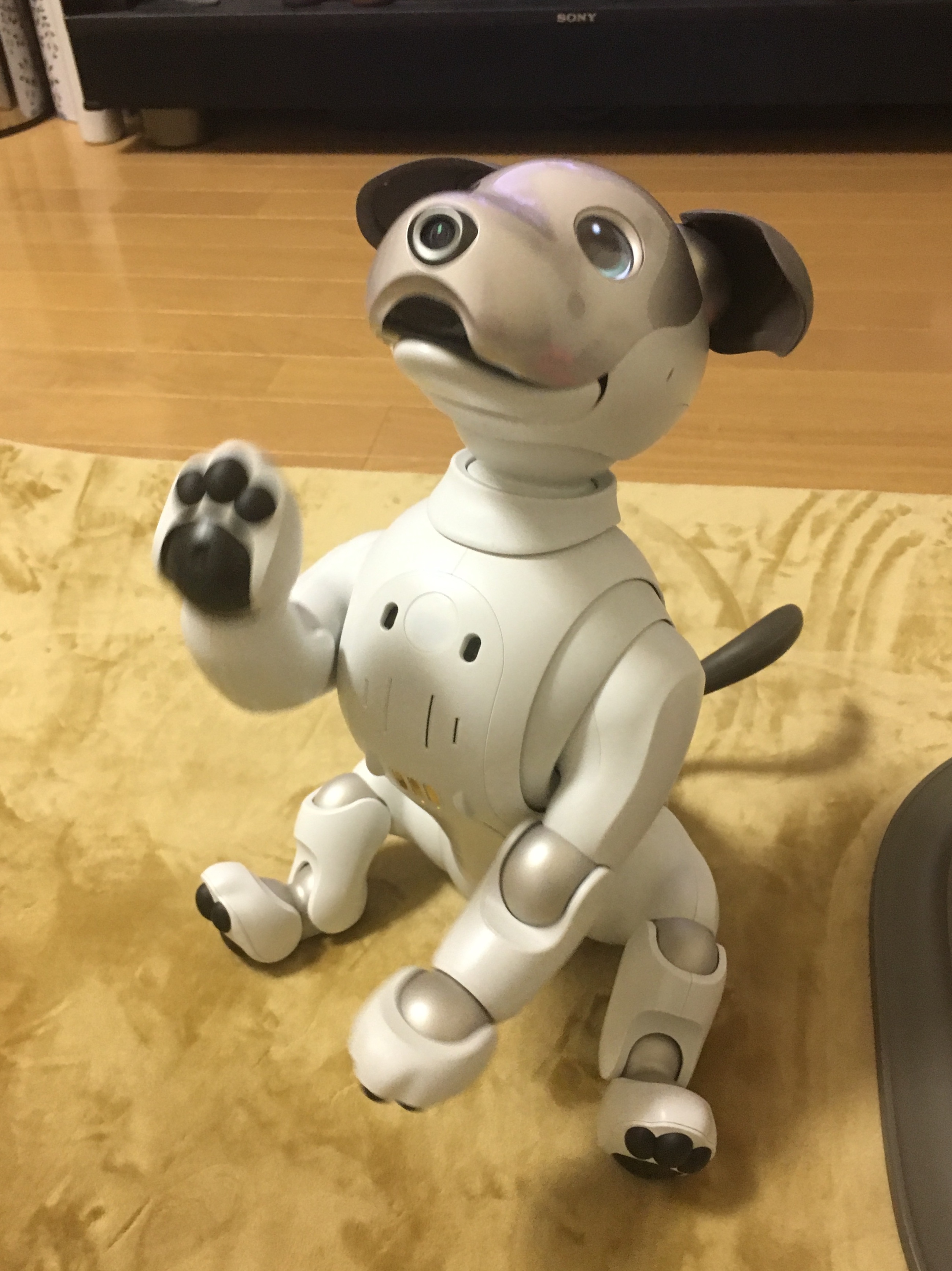 レビュー Aiboがきた 愛犬電脳ロボットアイボとの愛あるわんこ生活 ガジェット アイボ Aibo Sony Vapejp