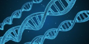 dna 1811955 960 720 300x150 - 【NEWS】電子タバコはDNAに影響を与える？ニューヨーク大学の研究成果について