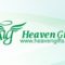 heavengifts logo1 thumb 60x60 - 【TIPS】話題のビタミンタバコ！おすすめはどれ？ポイントと合わせて紹介！