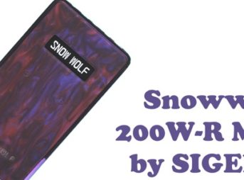 oDSC 3352 343x254 - 【レビュー】『Snowwolf 200W-R Mod by SIGELEI（シグレイ・スノウウルフ）』「俺のVAPEはちょっと違うぜ・・・！」って自慢したい人のための〝卒倒するほど〟エレガントなテクニカルデュアルバッテリーMODのご紹介。