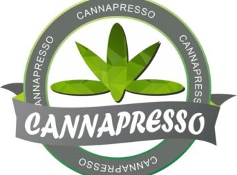 S  11124768 thumb 343x254 - 【レビュー】「CANNAPRESSO CBD E-LIQUID」チェリーミント/マンゴー味レビュー。リラックスできるCBD成分含有リキッド高濃度500mg【CBD/VAPE/リキッド】