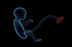 fetus 1788082 1920 300x195 - 【TIPS】妊娠中のVAPEはNG!?胎児に与えてしまう影響と大きなリスク