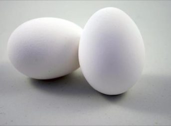 white eggs 500x500 thumb 343x254 - 【筋トレ】最近ハマってる筋トレ飯が卵白オムレツ＋クレイジーソルト＋シーチキンの件について