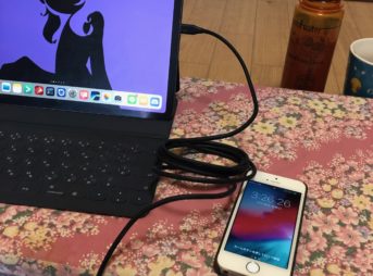 IMG 0547 343x254 - 【レビュー】iPad ProはiPhone用巨大バッテリーの夢を見るか - CHOETECH USB TYPE-C to Lightning Cable