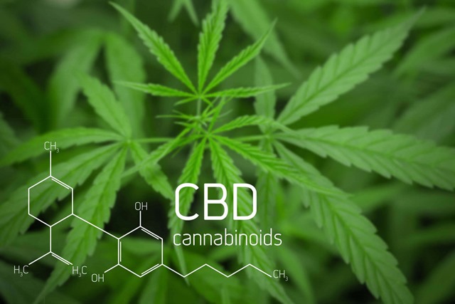 CBD for health thumb - 【まとめ】CBDリキッドコストパフォーマンスランキング2019年まとめ！どのCBDリキッドが最もコスパが高いのか。【カンナビジオール/CBD Liquid】