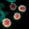 Novel Coronavirus SARS CoV 2RS 60x60 - 【外食】マクド、史上初の『ごはんバーガー』3種誕生　人気メニューを“ごはん”でサンド