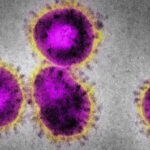 coronavirus getty 150x150 - 【新型コロナ】ワクチン2回接種後に感染　国HPは「100%防げず」　★3 [凜★]