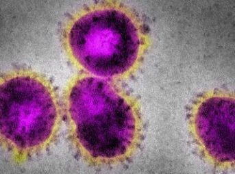 coronavirus getty 343x254 - 【新型コロナ】ワクチン2回接種後に感染　国HPは「100%防げず」　★3  [凜★]